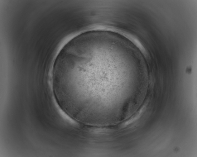 X0000101471247200807141343