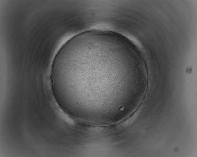 X0000101471248200807141343