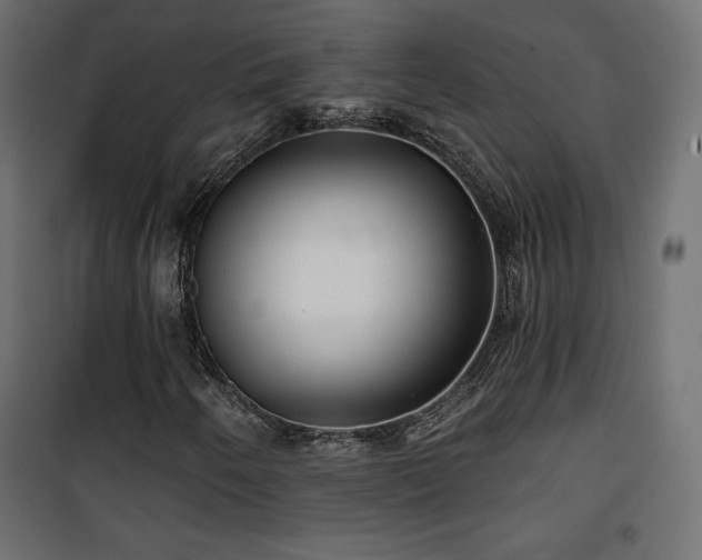 X0000101471250200807141343