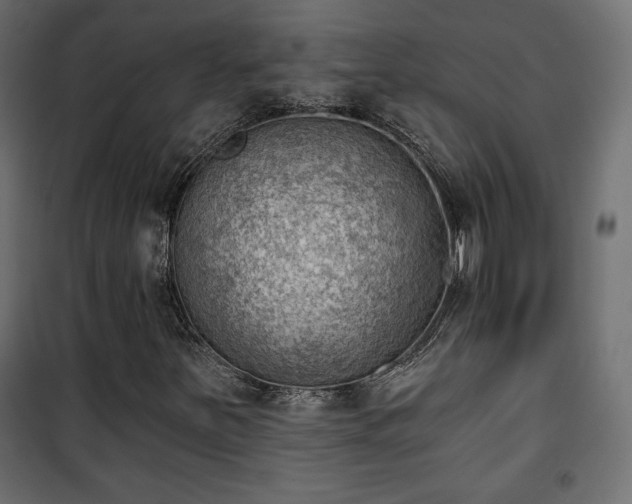 X0000101471251200807141343