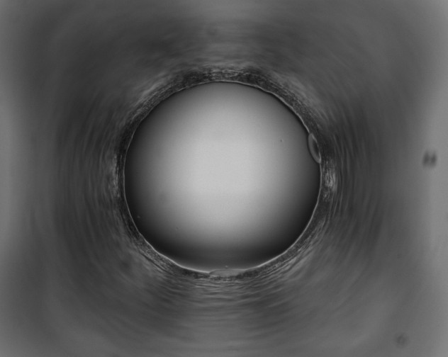 X0000101471252200807141343