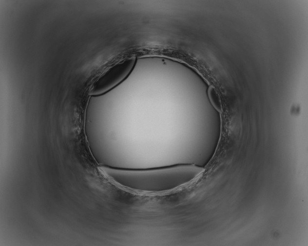 X0000101471253200807141343