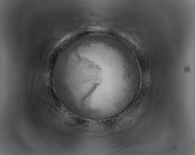 X0000101471254200807141343