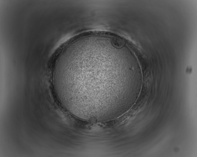 X0000101471255200807141343