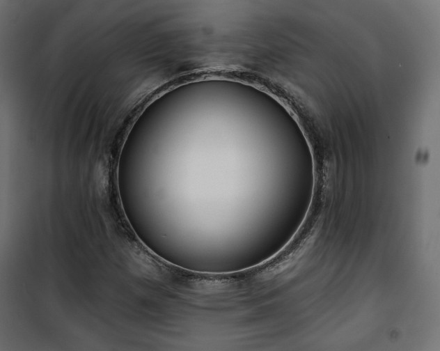 X0000101471257200807141343