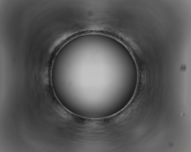 X0000101471262200807141343