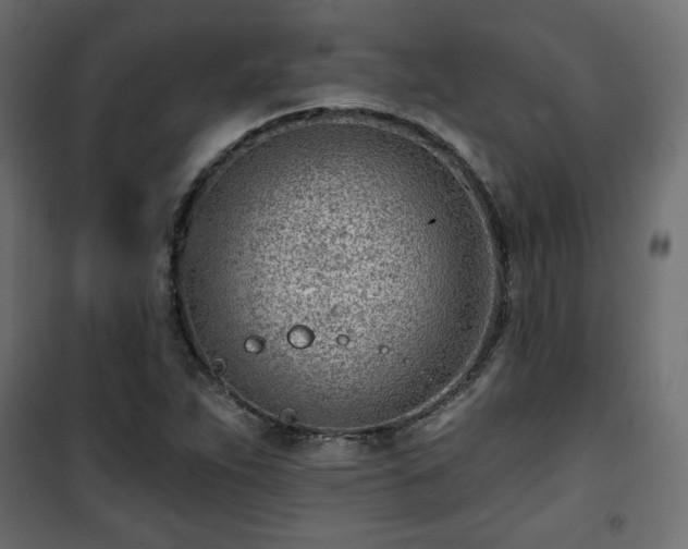 X0000101471263200807141343