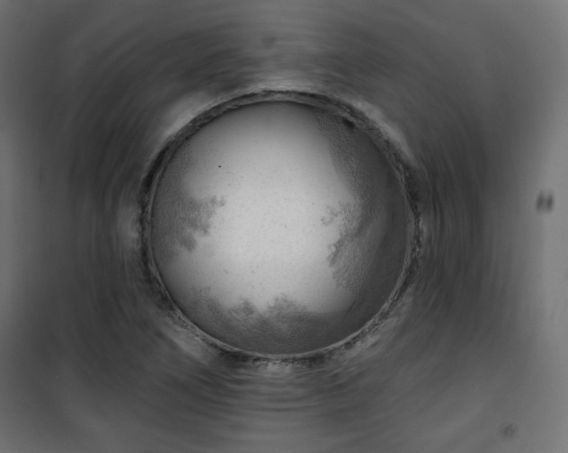X0000101471266200807141342