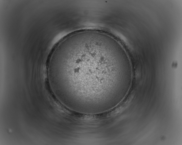 X0000101471267200807141342
