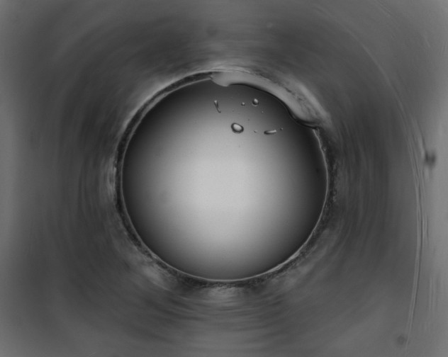 X0000101471268200807141342