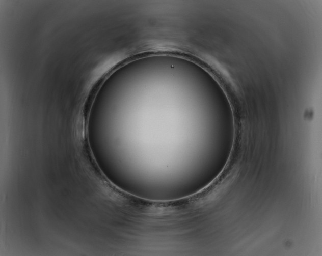X0000101471269200807141342