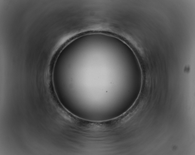 X0000101471270200807141342