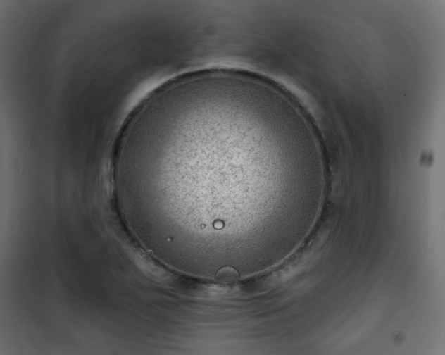 X0000101471271200807141342