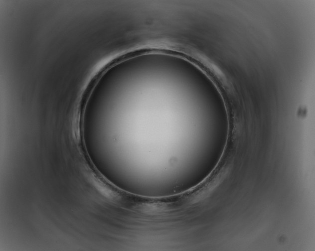 X0000101471272200807141342
