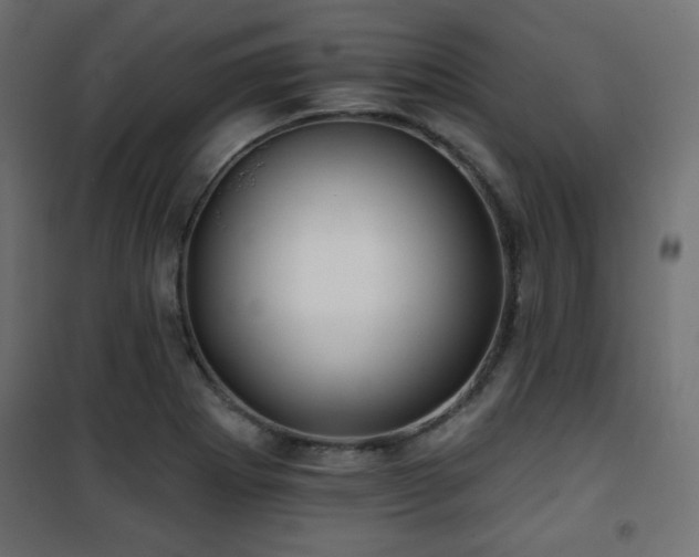 X0000101471273200807141342
