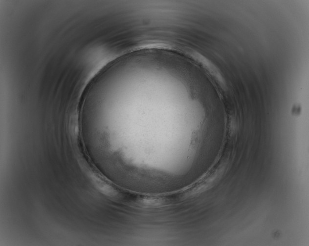 X0000101471274200807141342