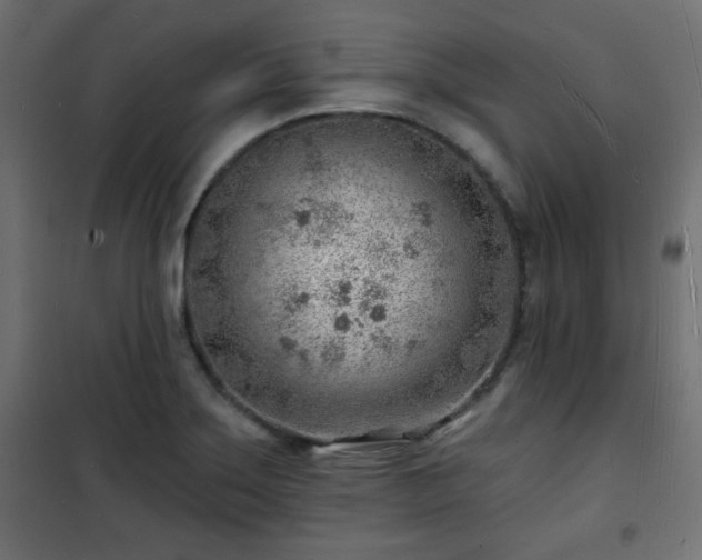 X0000101471275200807141342
