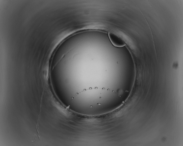 X0000101471276200807141342