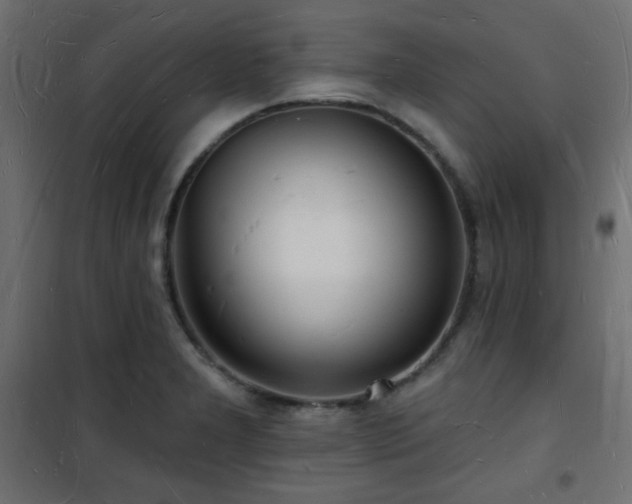 X0000101471277200807141342