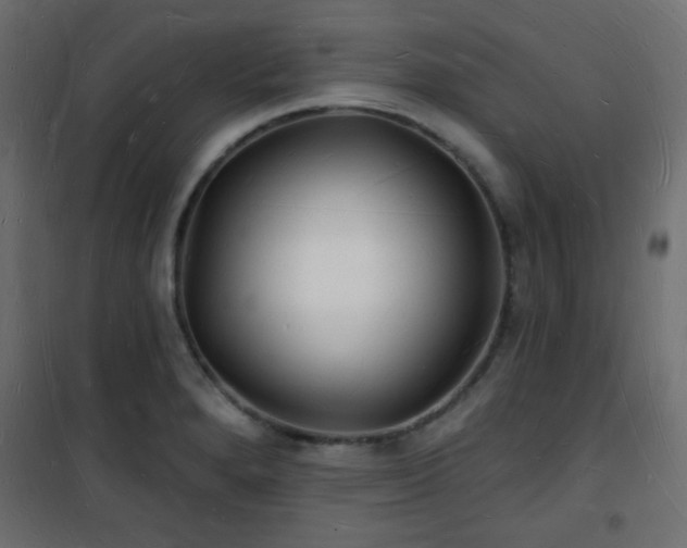 X0000101471280200807141342