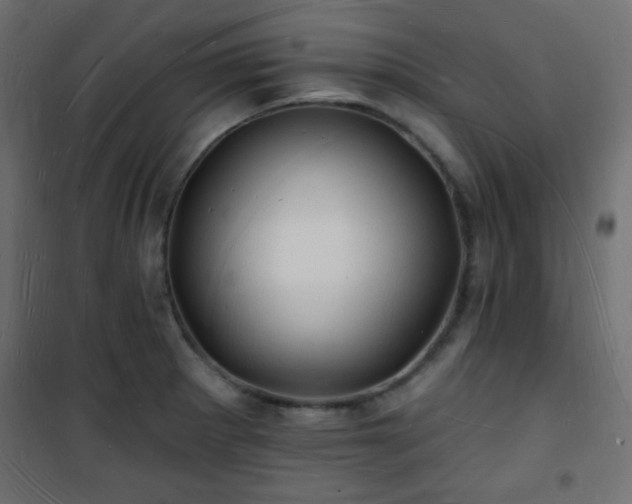 X0000101471281200807141342