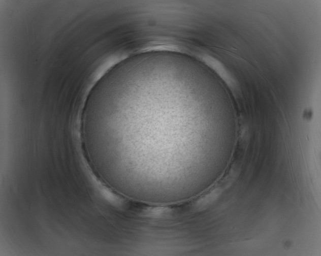 X0000101471282200807141342