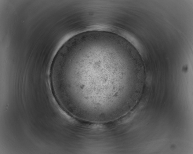 X0000101471283200807141342