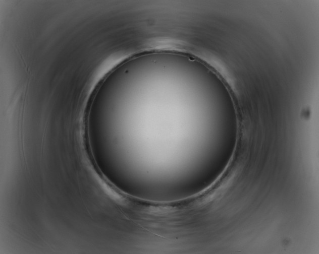 X0000101471285200807141342