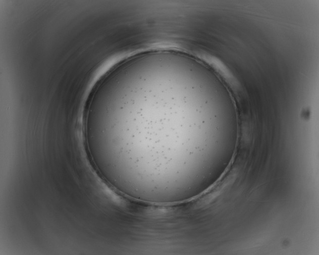 X0000101471286200807141342