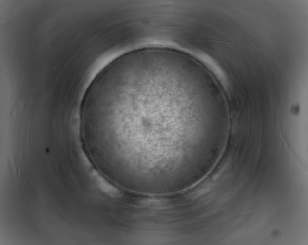 X0000101471287200807141342