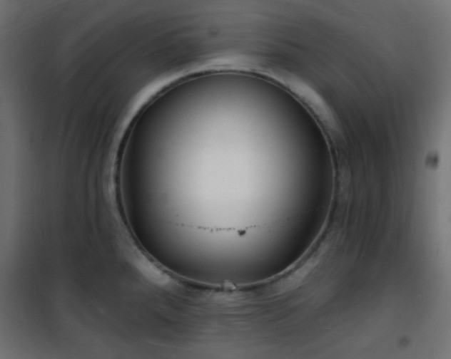 X0000101471288200807141342