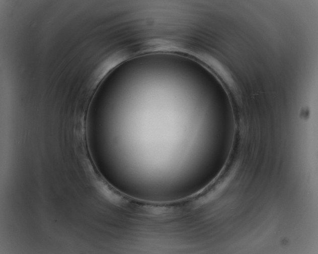 X0000101471289200807141342