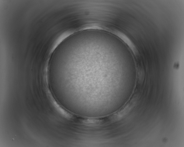 X0000101471290200807141342