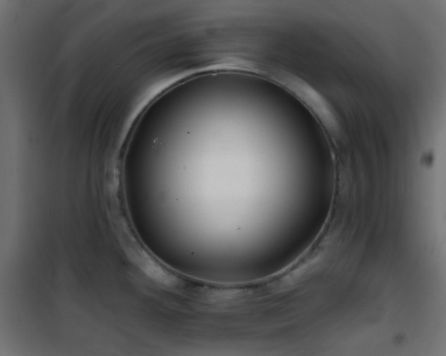 X0000101471292200807141342
