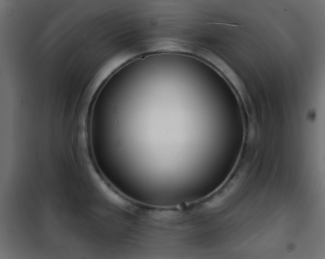 X0000101471293200807141342