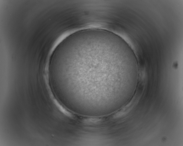 X0000101471294200807141342