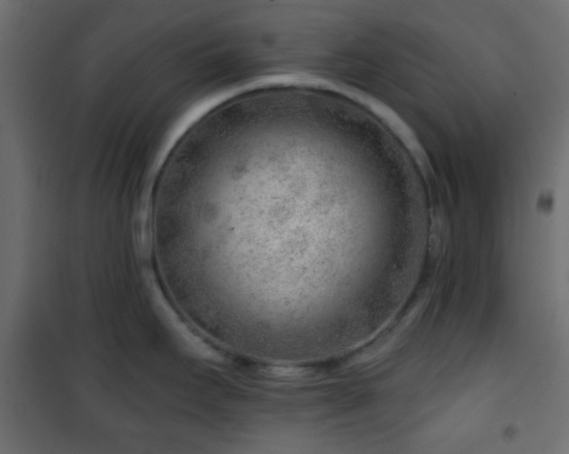 X0000101471295200807141342