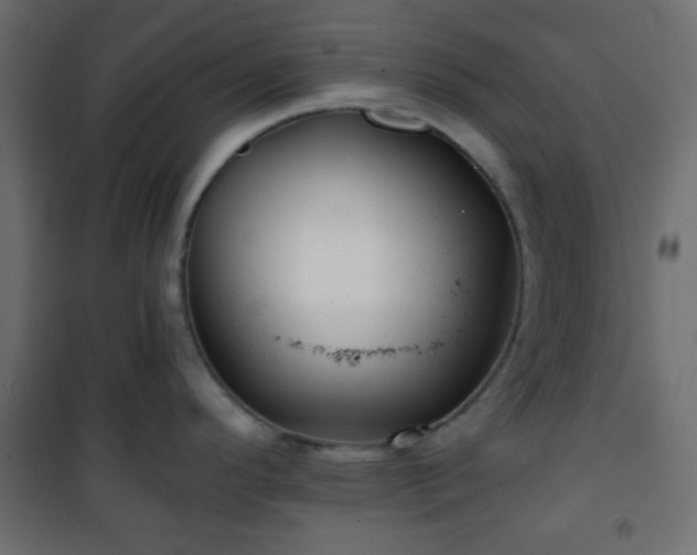 X0000101471296200807141342