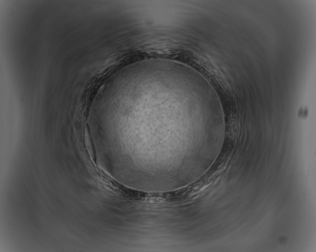 X0000101471297200807141341