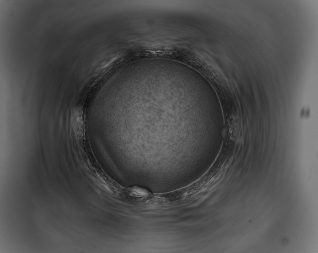 X0000101471298200807141341