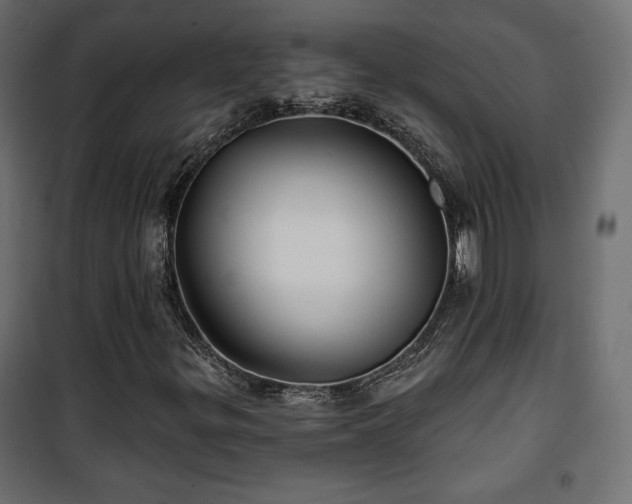 X0000101471299200807141341