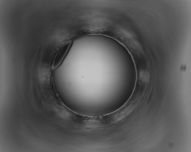 X0000101471300200807141341