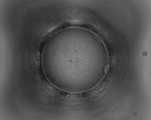 X0000101471301200807141341