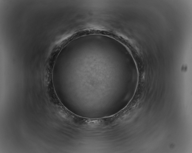 X0000101471303200807141341