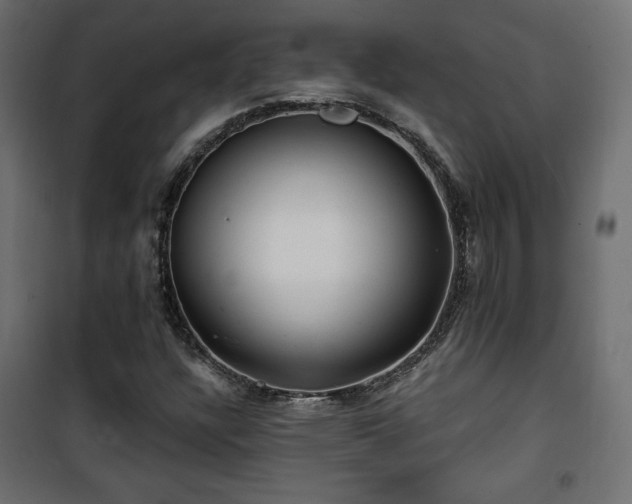 X0000101471304200807141341