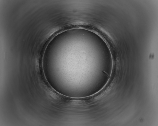 X0000101471305200807141341