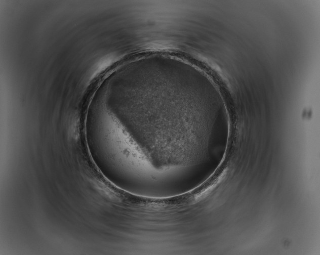 X0000101471306200807141341