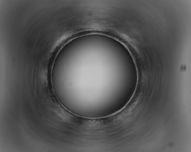 X0000101471307200807141341