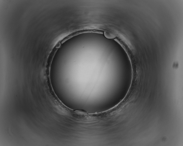 X0000101471308200807141341