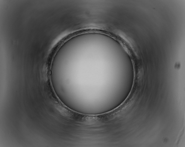 X0000101471310200807141341